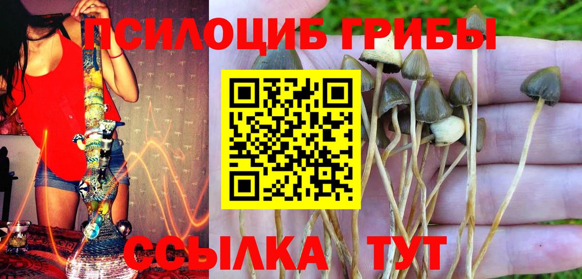 Галлюциногенные грибы прущие грибы Валуйки