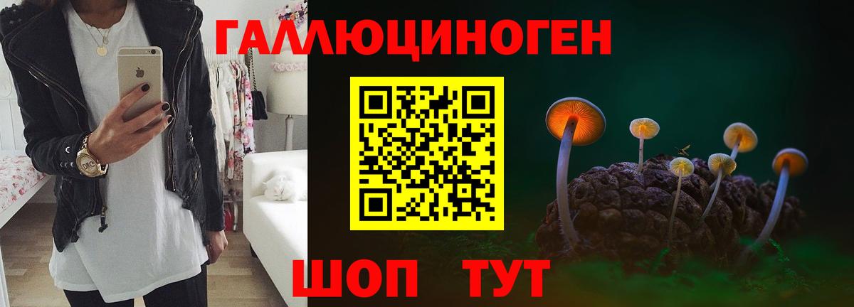 Галлюциногенные грибы прущие грибы  Вход с VPN  Валуйки 